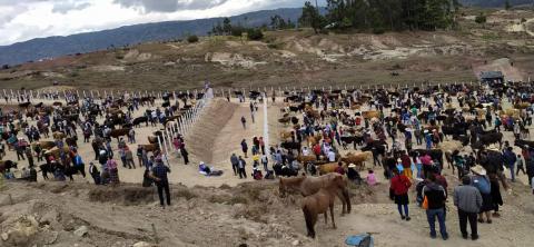 Alcalde Werner Cabrera Campos construyó la nueva plaza pecuaria para los ganaderos.